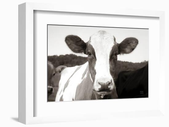 At the Barn-Nathan Larson-Framed Photographic Print
