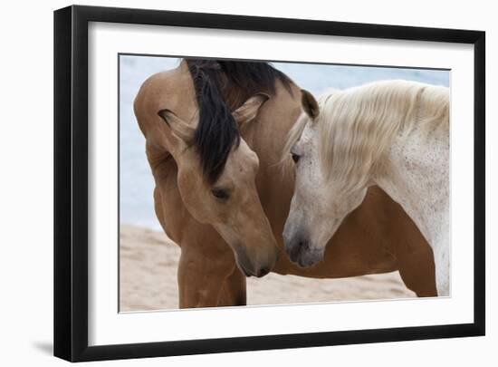 At The Beach-Susan Friedman-Framed Giclee Print