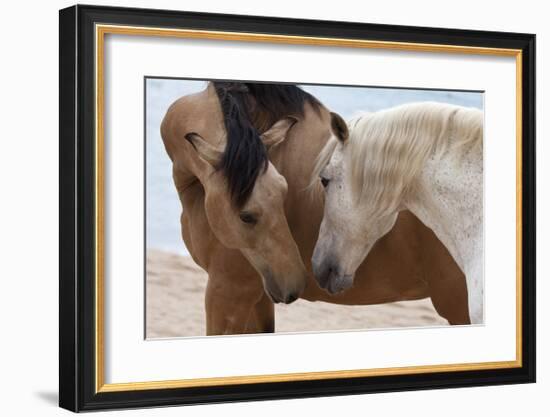 At The Beach-Susan Friedman-Framed Giclee Print