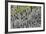 At the Black Sandy Beach of Reynisfjara, Basalt Colums-Catharina Lux-Framed Photographic Print