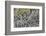 At the Black Sandy Beach of Reynisfjara, Basalt Colums-Catharina Lux-Framed Photographic Print