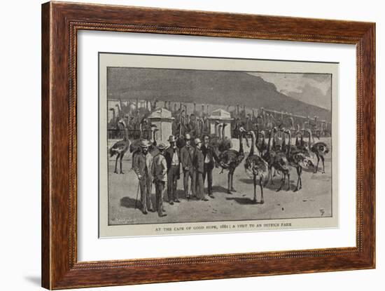 At the Cape of Good Hope, 1881, a Visit to an Ostrich Farm-null-Framed Giclee Print