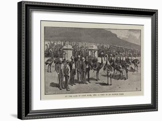 At the Cape of Good Hope, 1881, a Visit to an Ostrich Farm-null-Framed Giclee Print