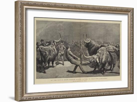 At the Cattle Show, Judging Scotch Cattle, A Fractious Hielander-John Charlton-Framed Giclee Print