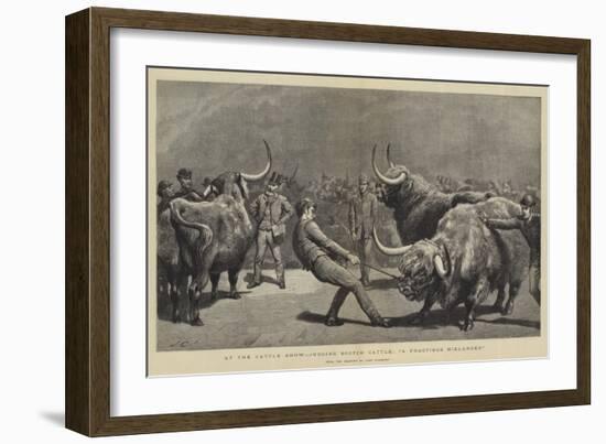 At the Cattle Show, Judging Scotch Cattle, A Fractious Hielander-John Charlton-Framed Giclee Print