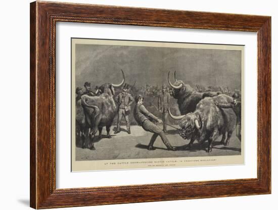 At the Cattle Show, Judging Scotch Cattle, A Fractious Hielander-John Charlton-Framed Giclee Print