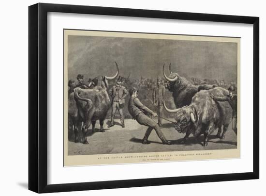 At the Cattle Show, Judging Scotch Cattle, A Fractious Hielander-John Charlton-Framed Giclee Print
