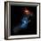 At the Center of this Chandra Image, a Pulsar, Responsible for this X-ray Nebula-null-Framed Photographic Print