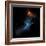 At the Center of this Chandra Image, a Pulsar, Responsible for this X-ray Nebula-null-Framed Photographic Print