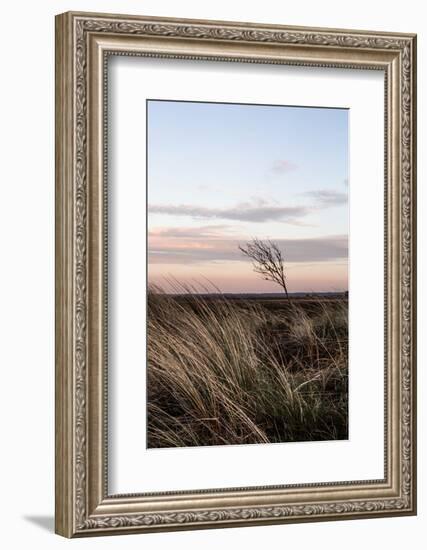 At the Coast 4-Mareike Böhmer-Framed Photographic Print