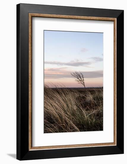 At the Coast 4-Mareike Böhmer-Framed Photographic Print