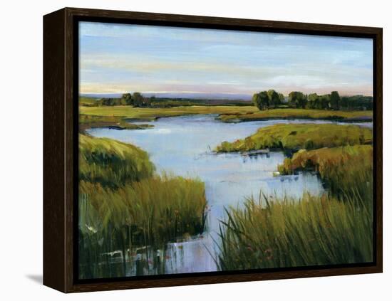 At the Edge I-Tim O'toole-Framed Stretched Canvas