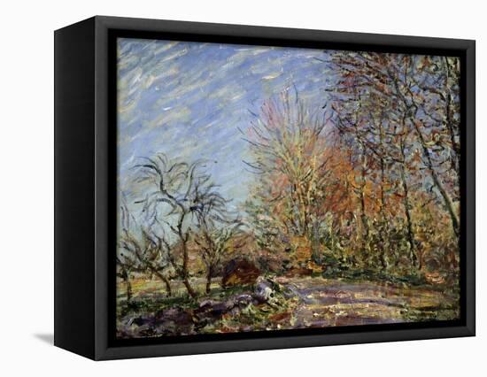 At the Edge of the Forest in Fontainebleau, 1885-Alfred Sisley-Framed Premier Image Canvas