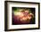 At the End of the Day-Philippe Sainte-Laudy-Framed Photographic Print