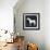 At the Farm 2-Kimberly Allen-Framed Premium Giclee Print displayed on a wall