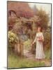 At the Garden Gate-William Affleck-Mounted Giclee Print