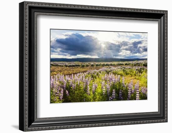 At the Hjalparfoss-Catharina Lux-Framed Photographic Print