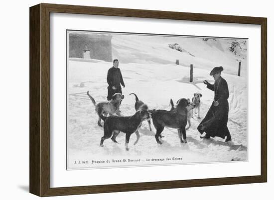 At the Hospice du Grand Saint- Bernard Dogs are Trained to Rescue Unfortunate Travellers-null-Framed Art Print