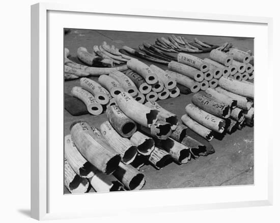 At the London Docks-John Phillips-Framed Premium Photographic Print