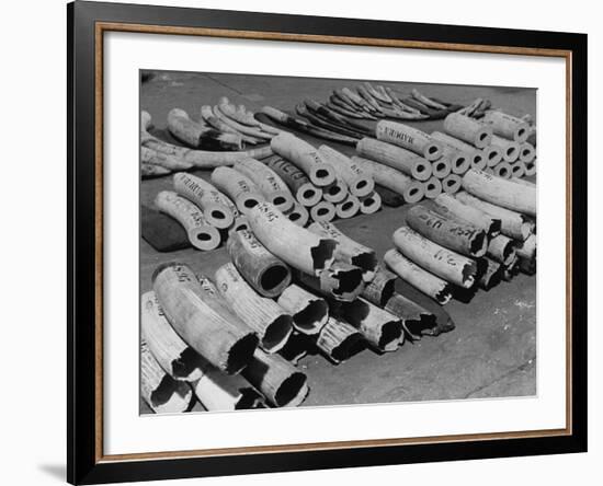 At the London Docks-John Phillips-Framed Premium Photographic Print