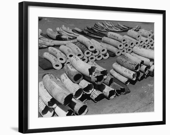 At the London Docks-John Phillips-Framed Premium Photographic Print