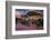 At the Mexican Market (El Mercado), San Antonio, Texas, United States of America, North America-Jim Nix-Framed Photographic Print