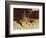 At the Old Well at Acoma-Edward S. Curtis-Framed Premium Giclee Print