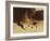 At the Old Well at Acoma-Edward S. Curtis-Framed Giclee Print