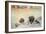 At the Quayside-Henri Jules Jean Geoffroy-Framed Giclee Print