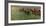 At the Races - Before the Start-Edgar Degas-Framed Premium Giclee Print