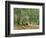 At the Summer Cottage, 1894-Ivan Ivanovitch Shishkin-Framed Giclee Print