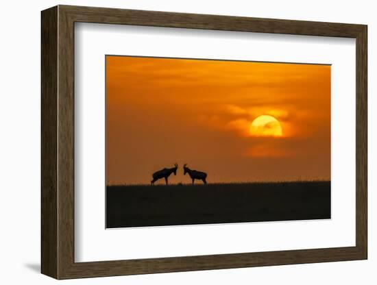 At The Sunset-Jun Zuo-Framed Photographic Print