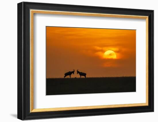 At The Sunset-Jun Zuo-Framed Photographic Print