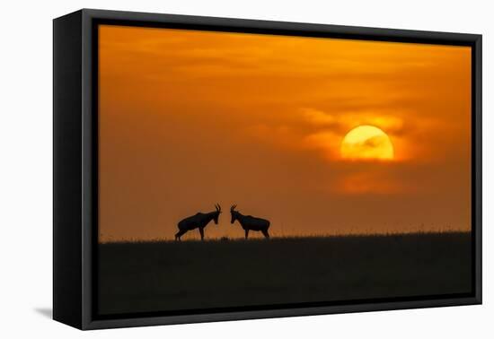 At The Sunset-Jun Zuo-Framed Premier Image Canvas