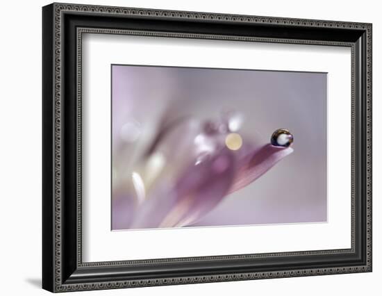 At the tip lll-Heidi Westum-Framed Photographic Print