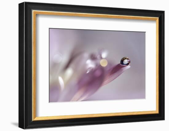 At the tip lll-Heidi Westum-Framed Photographic Print