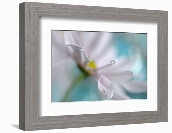 At the Tip-Heidi Westum-Framed Photographic Print