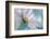 At the Tip-Heidi Westum-Framed Photographic Print