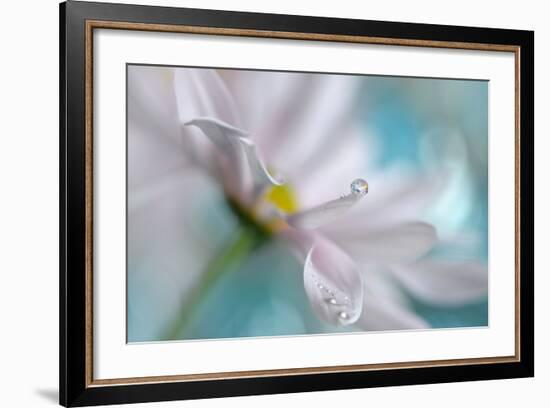 At the Tip-Heidi Westum-Framed Photographic Print