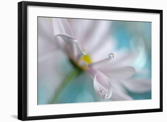 At the Tip-Heidi Westum-Framed Photographic Print