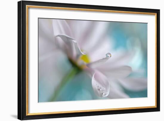 At the Tip-Heidi Westum-Framed Photographic Print