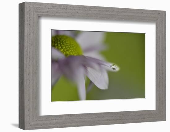 At the very end-Heidi Westum-Framed Photographic Print