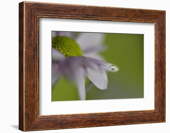 At the very end-Heidi Westum-Framed Photographic Print