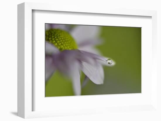 At the very end-Heidi Westum-Framed Photographic Print