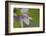 At the very end-Heidi Westum-Framed Photographic Print