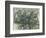 At the Water's Edge, C. 1890-Paul Cézanne-Framed Giclee Print