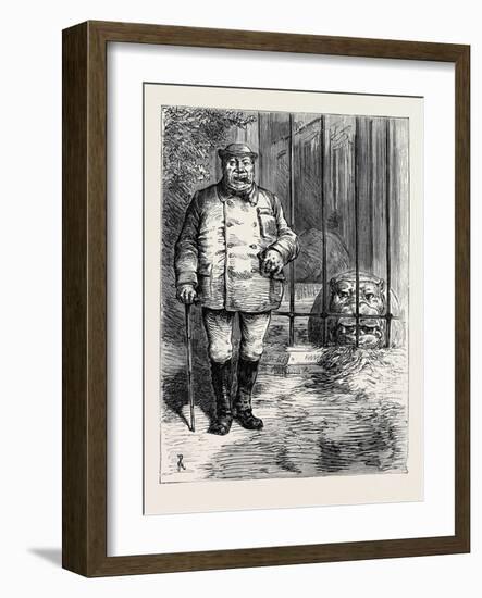 At the Zoological Society's Gardens in London: Pachydermatous or Thick-Skinned Animals 1880-null-Framed Giclee Print