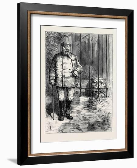 At the Zoological Society's Gardens in London: Pachydermatous or Thick-Skinned Animals 1880-null-Framed Giclee Print