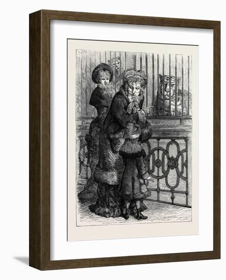 At the Zoological Society's Gardens in London: the Cat Family 1880-null-Framed Giclee Print