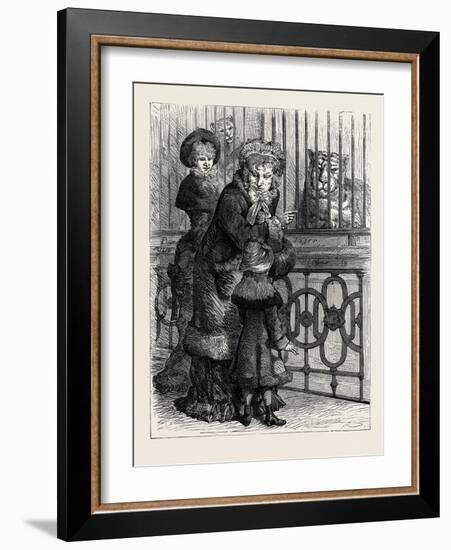 At the Zoological Society's Gardens in London: the Cat Family 1880-null-Framed Giclee Print